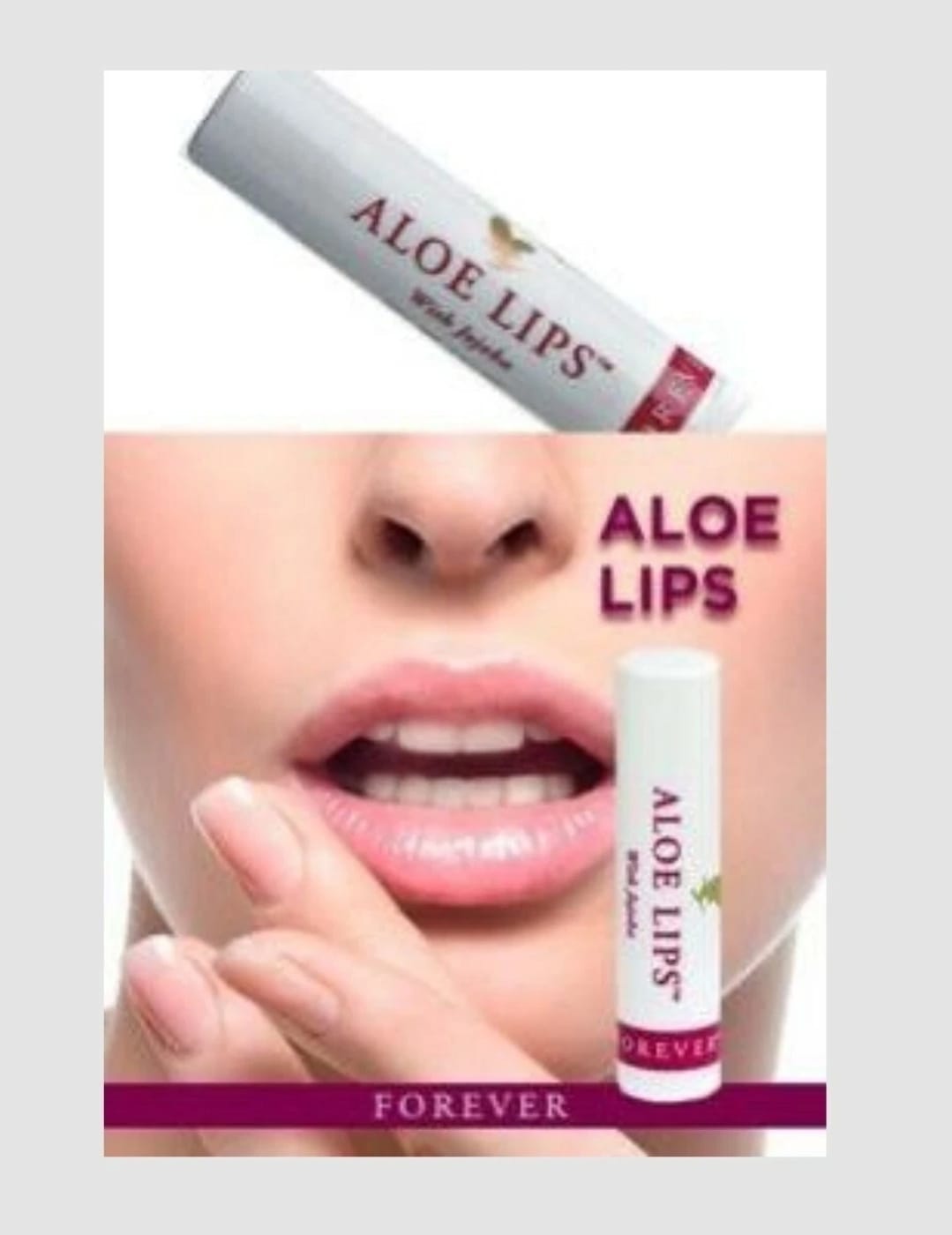 FOREVER LIVING ALOE LIPS 1 Box of -Aloe Leaf Extract Jojoba Seed Oil Beeswax