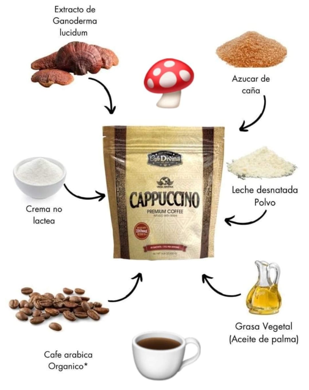 Vida DIVINA CAFE DIVINA CAPPUCCINO PREMIUM TOFFEE INFUSED WITH REISHI ...