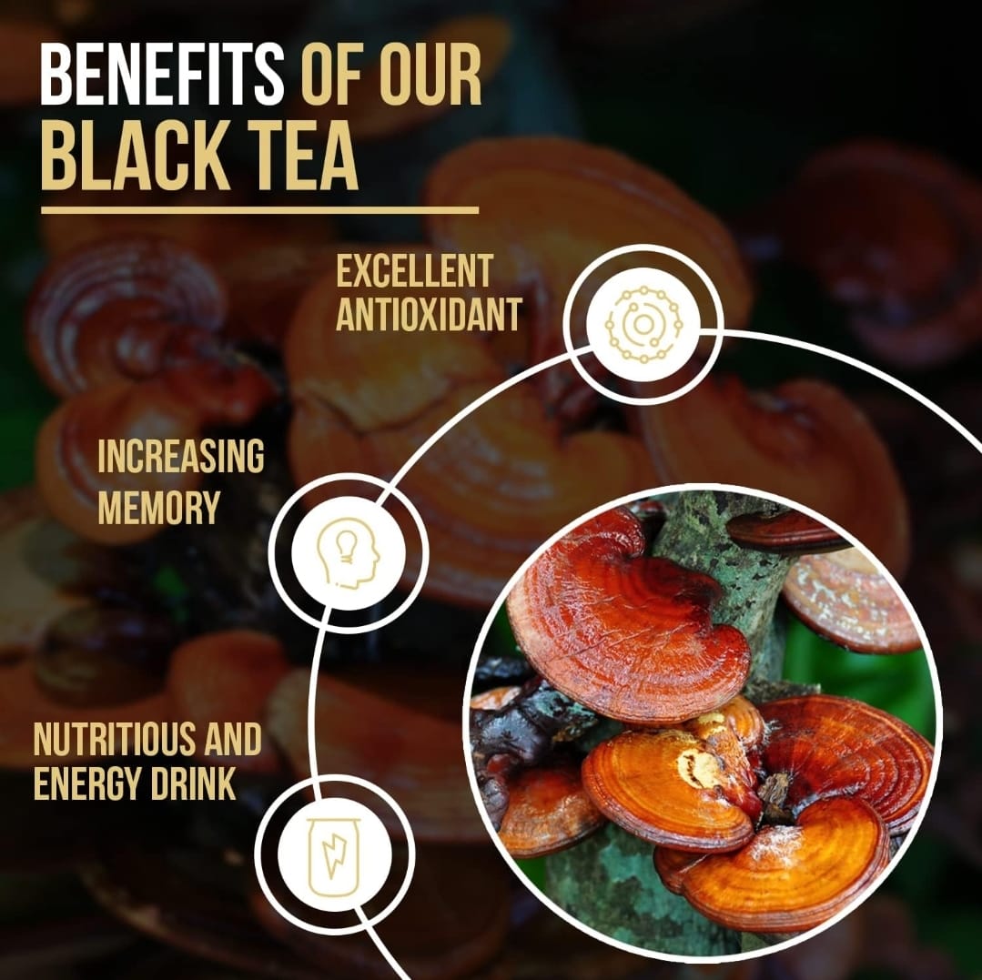 Vida Divina Café Divina Black Tea, Infused with Organic Ganoderma Reishi Extract