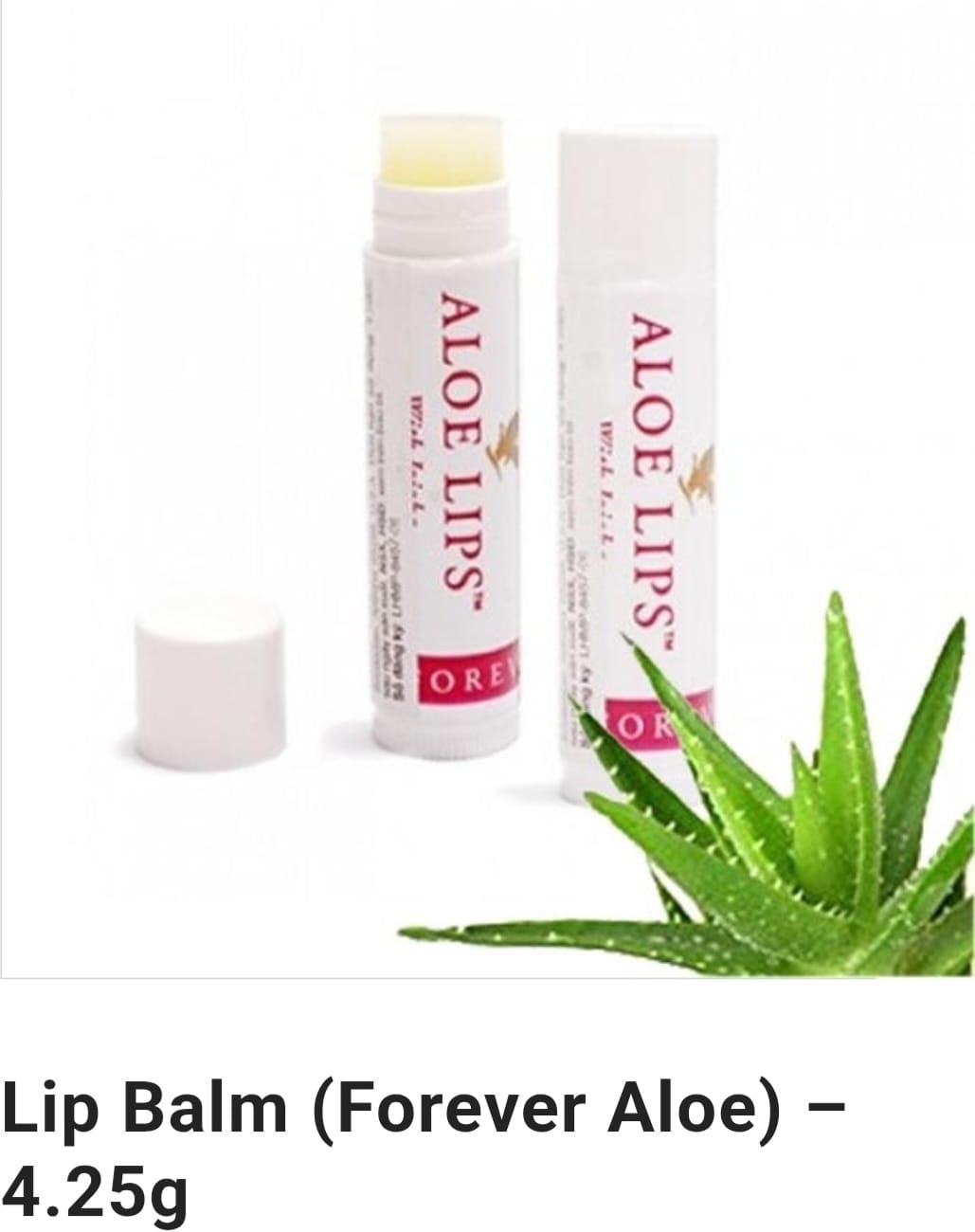 FOREVER LIVING ALOE LIPS 1 Box of -Aloe Leaf Extract Jojoba Seed Oil Beeswax