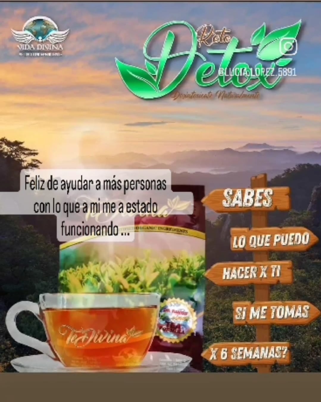 Te Divina Original Detox Tea For Detox, Cleanse And Weightloss 1 Bag