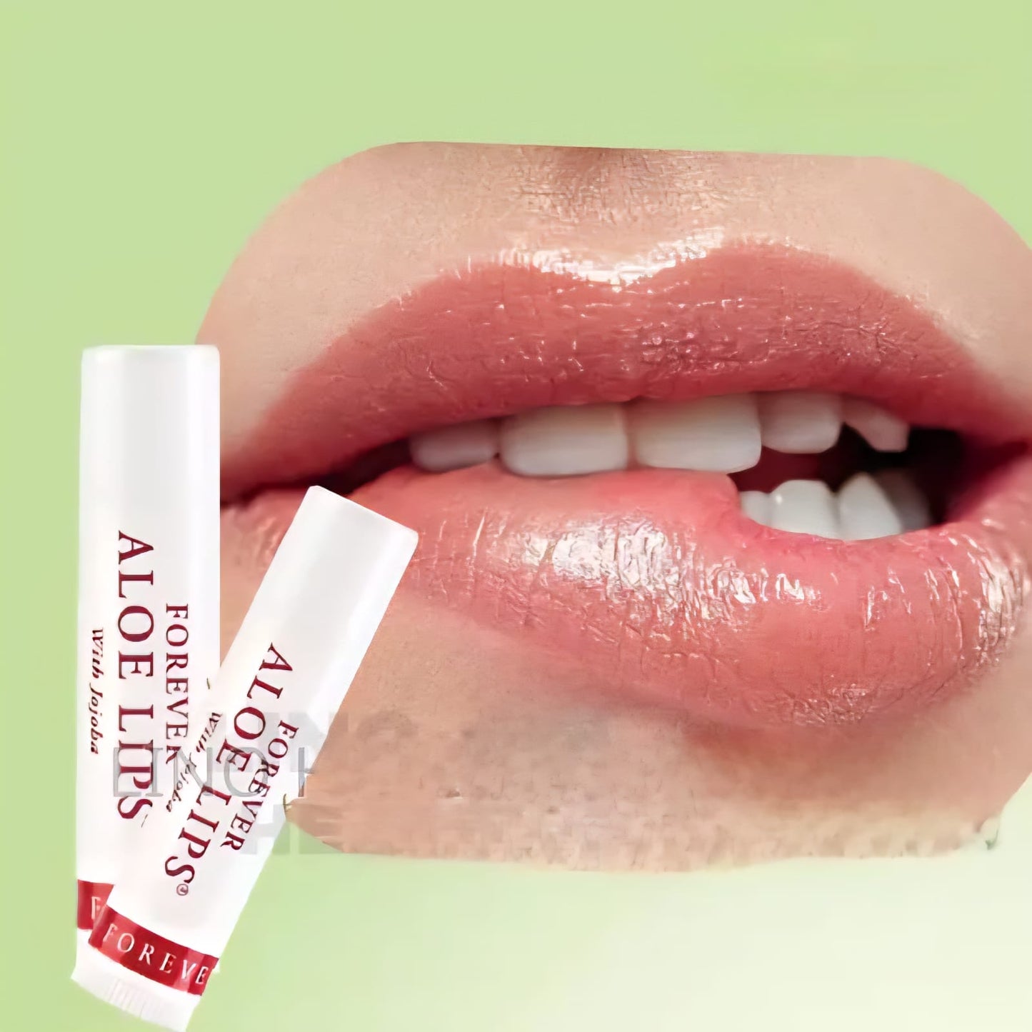 FOREVER LIVING ALOE LIPS 1 Box of -Aloe Leaf Extract Jojoba Seed Oil Beeswax