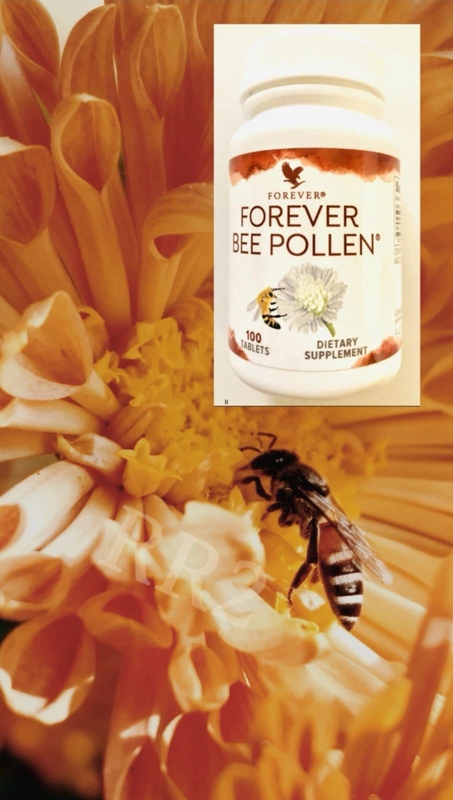 Forever BEE POLLEN - Nutrients, Natural Energy & Stamina