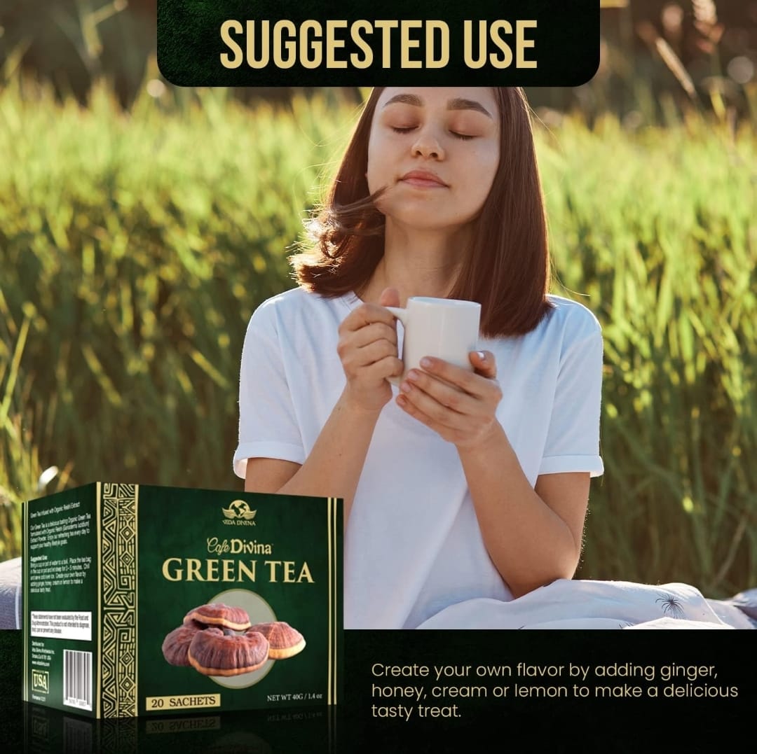 Vida Divina Café Divina Green Tea with Organic Reishi Extract Green Tea, Support