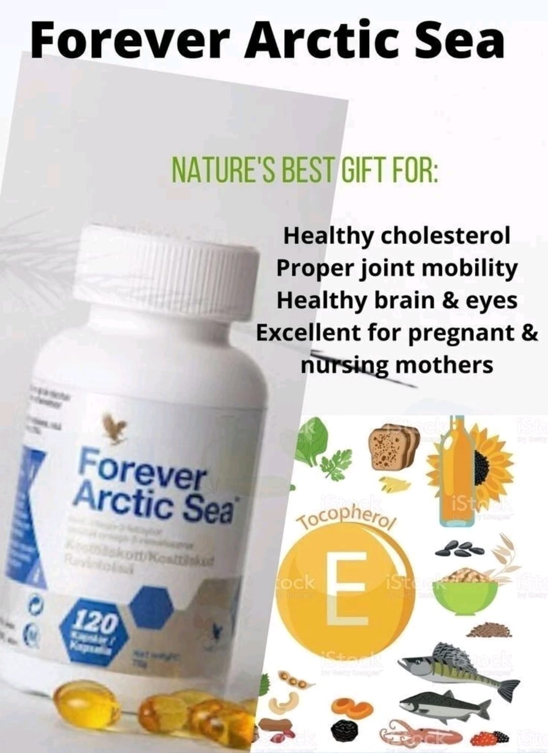 Forever Arctic Sea®