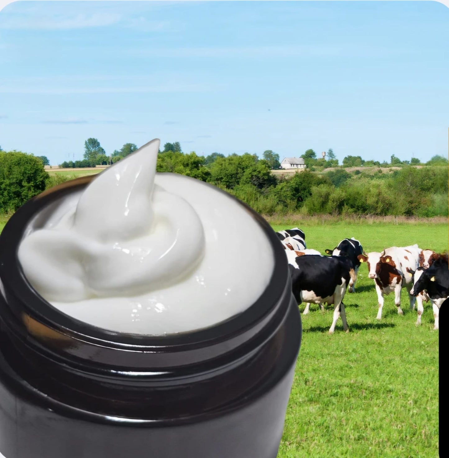 Handmade Whipped Tallow Cream - Pure organic Grass-Fed beef tallow face and body cream