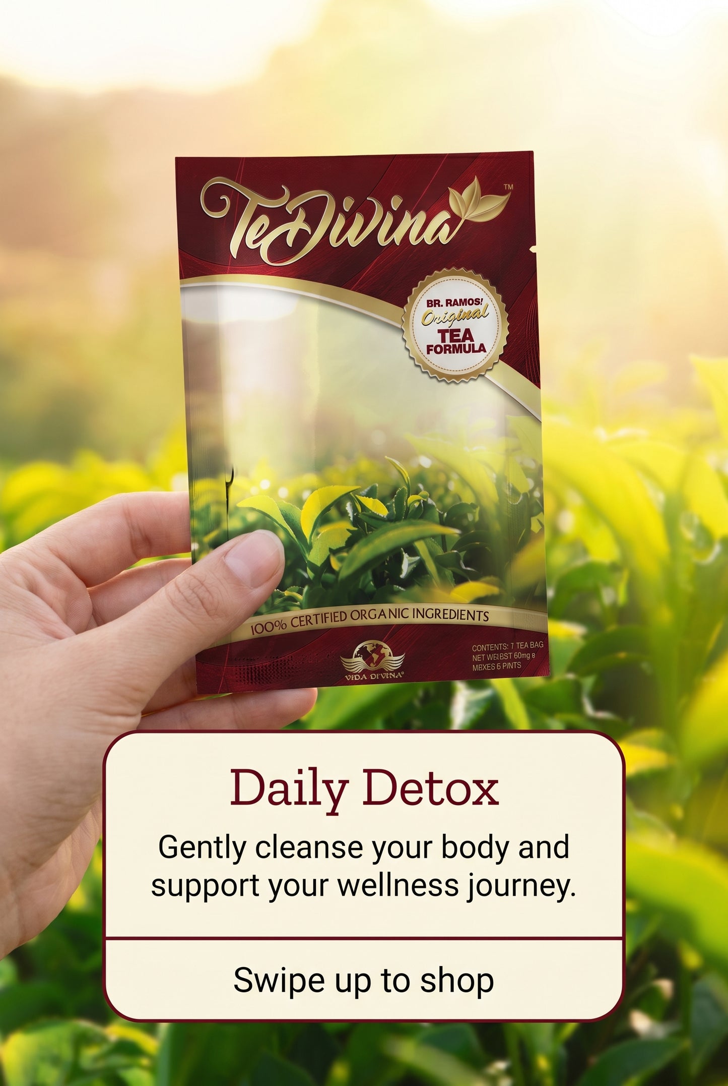 Thé détox original Te Divina pour la détoxification, le nettoyage et la perte de poids 1 sachet