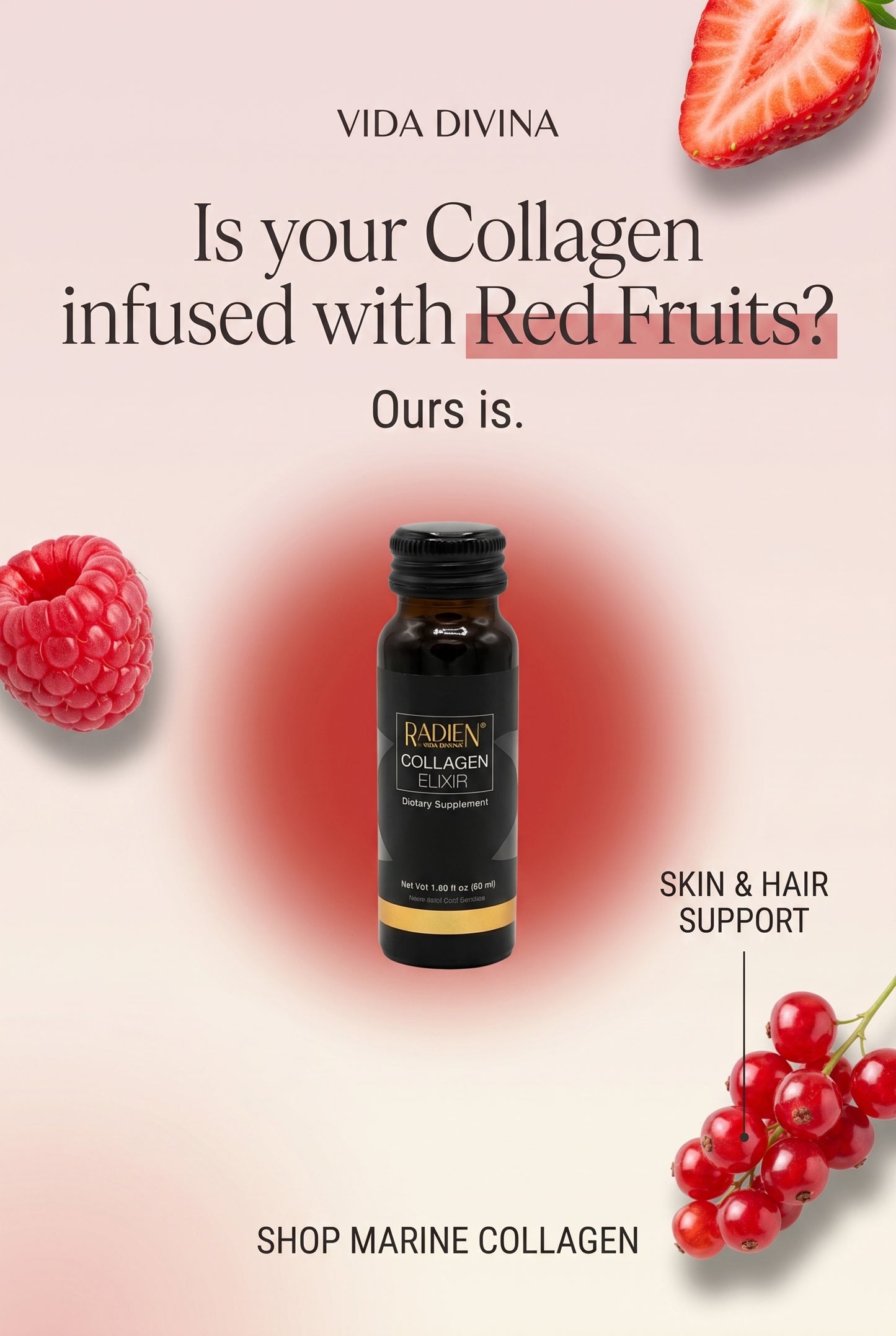 Vida Divina Regenerative Skin Science Marine Collagen – 10 Bottle Pack (Red Fruit Flavor)