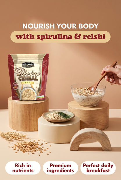 VIDA DIVINA DIVINE CEREAL avec spiruline Net Wt 30g/Sachet