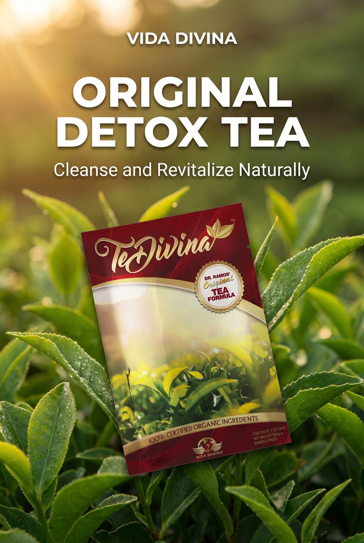 Thé détox original Te Divina pour la détoxification, le nettoyage et la perte de poids 1 sachet