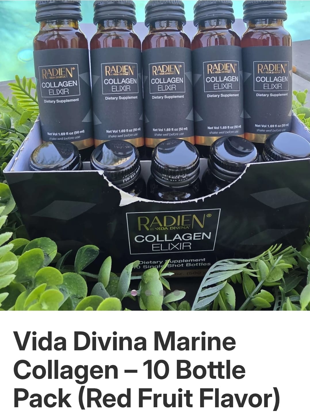 Vida Divina Regenerative Skin Science Marine Collagen – 10 Bottle Pack (Red Fruit Flavor)